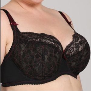 Ewa Michalak BM Bordeaux 85HH (38HH)